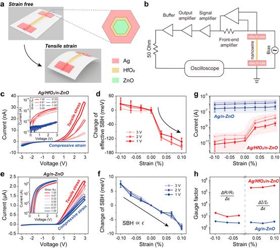 Figure 2 SHL